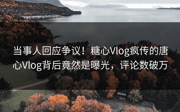 当事人回应争议！糖心Vlog疯传的唐心Vlog背后竟然是曝光，评论数破万