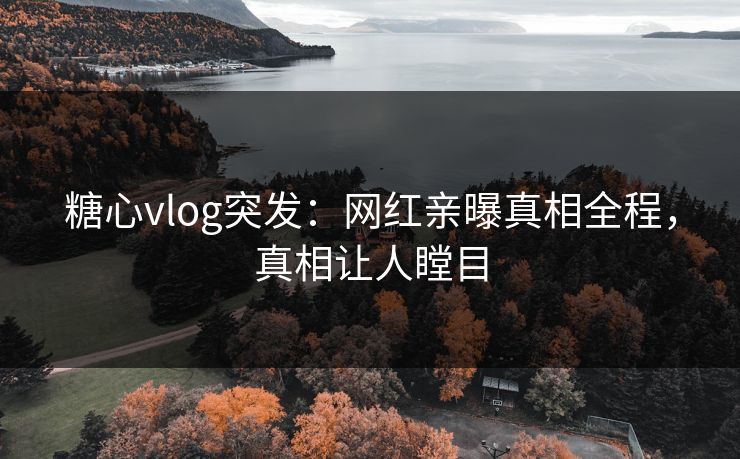 糖心vlog突发：网红亲曝真相全程，真相让人瞠目