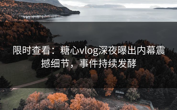 限时查看：糖心vlog深夜曝出内幕震撼细节，事件持续发酵