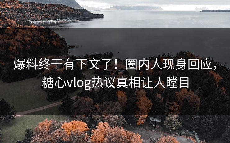 爆料终于有下文了！圈内人现身回应，糖心vlog热议真相让人瞠目