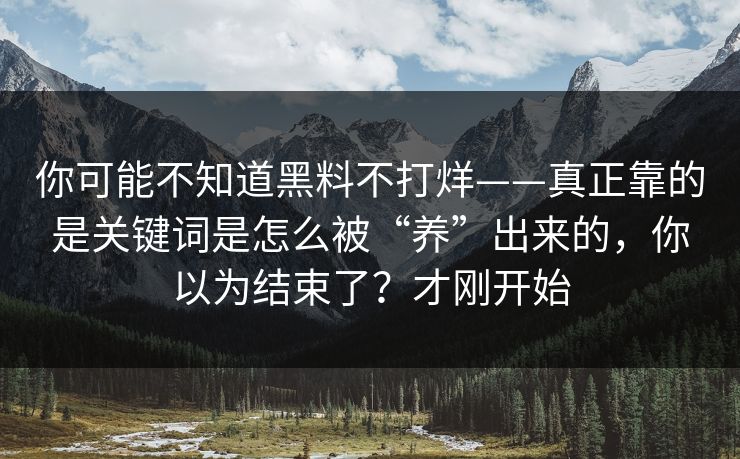 你可能不知道黑料不打烊——真正靠的是关键词是怎么被“养”出来的，你以为结束了？才刚开始