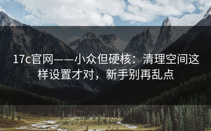 17c官网——小众但硬核：清理空间这样设置才对，新手别再乱点